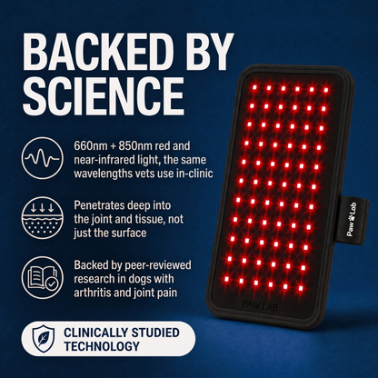 PawLab Red Light Pad