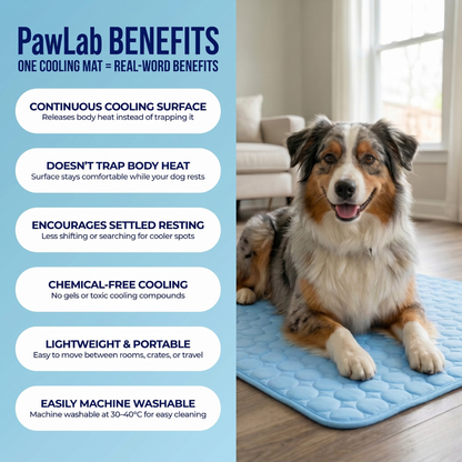 PawLab Cooling Mat