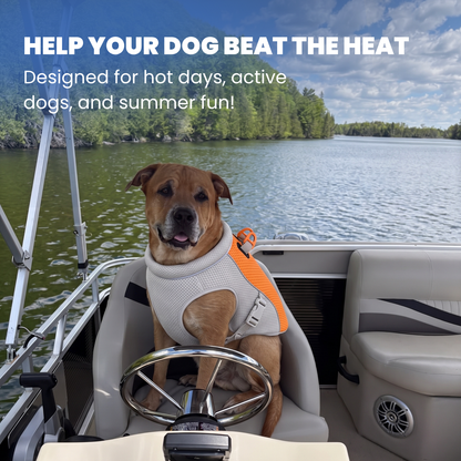 PawLab Dog Cooling Vest