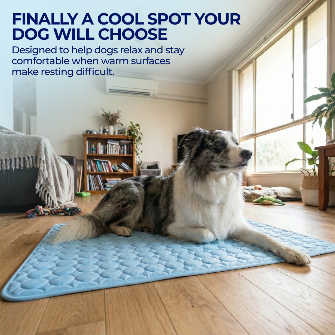 PawLab Cooling Mat