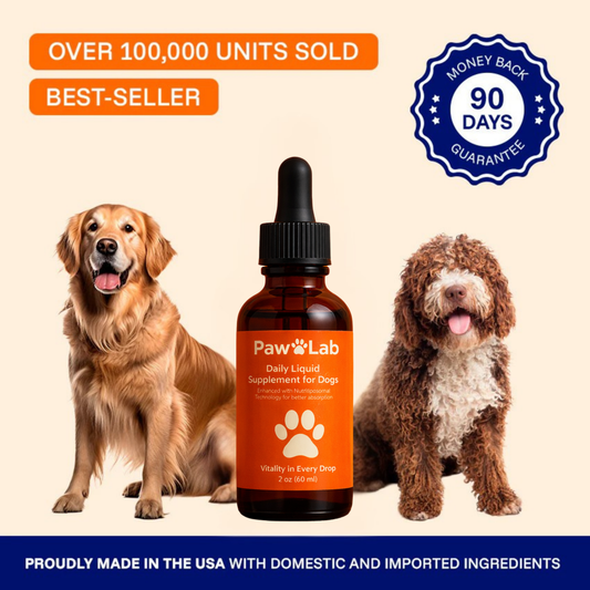 The Science-Backed Protocol to Boost Dog Health Span