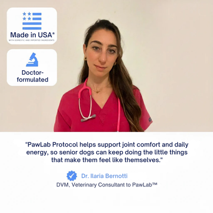 The Science-Backed Protocol to Boost Dog Health Span