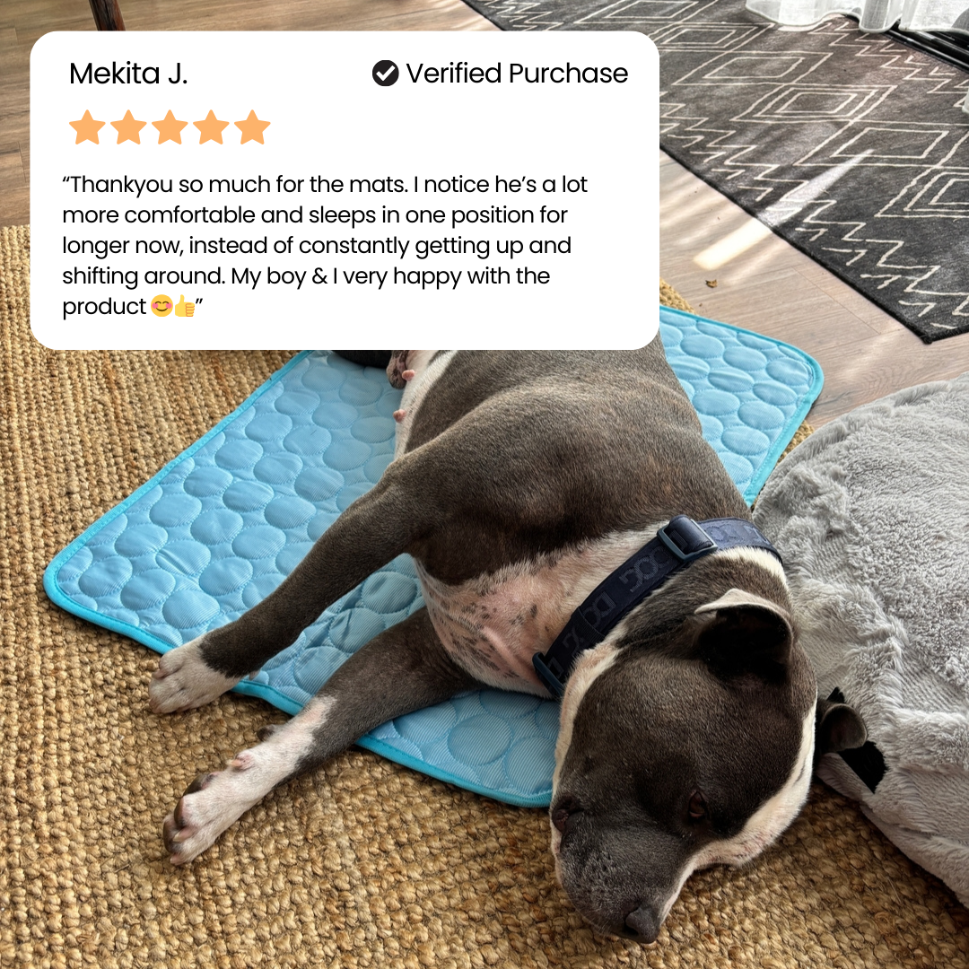 PawLab Cooling Mat