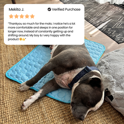 PawLab Cooling Mat