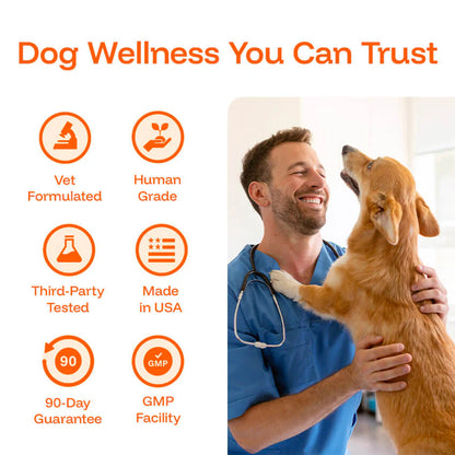 The Science-Backed Protocol to Boost Dog Health Span