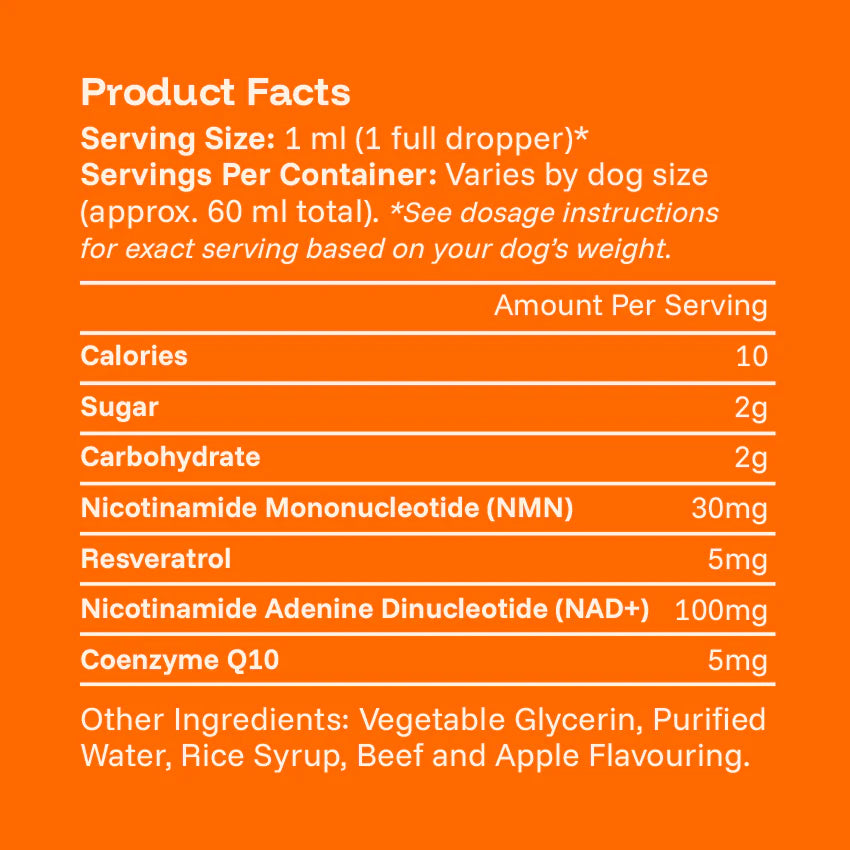 The Science-Backed Protocol to Boost Dog Health Span