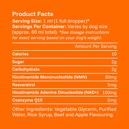 The Science-Backed Protocol to Boost Dog Health Span