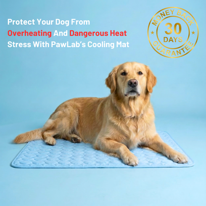 PawLab Cooling Mat