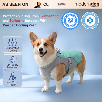 PawLab Dog Cooling Vest