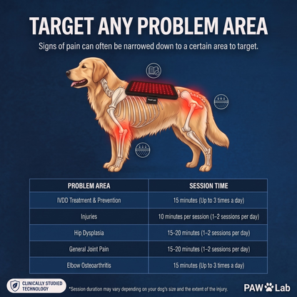 PawLab Red Light Pad