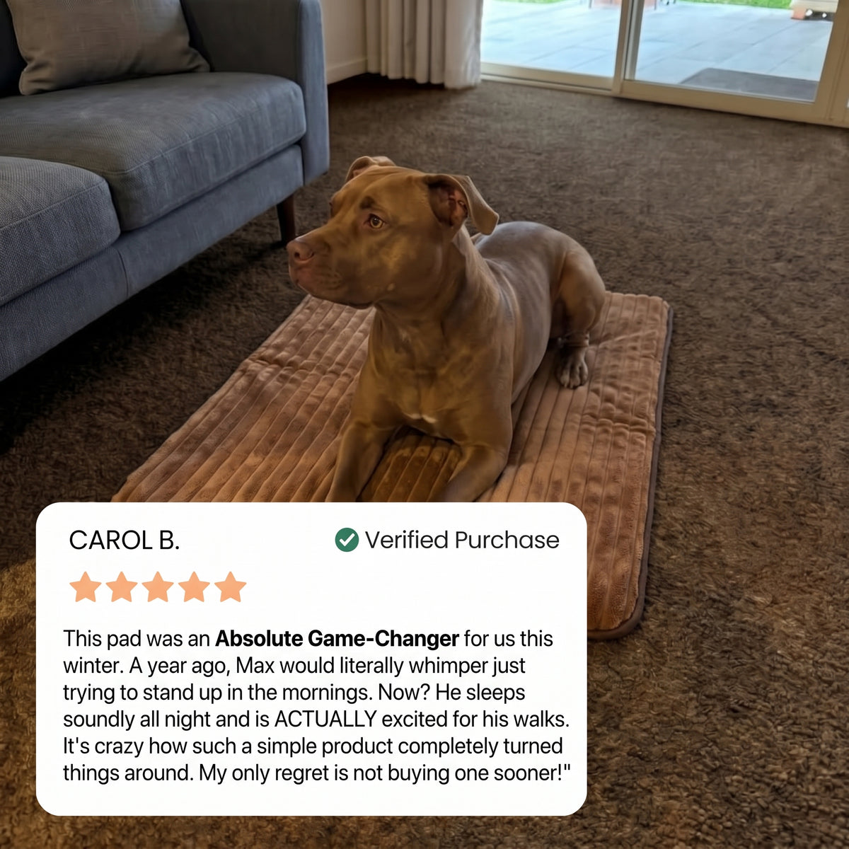 PawLab Self Warming Mat
