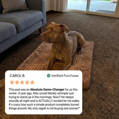 PawLab Self Warming Mat